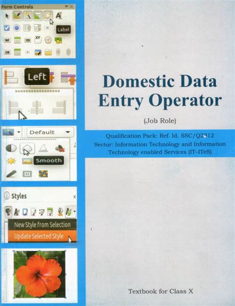 Image result for Data Entry File of Class 10