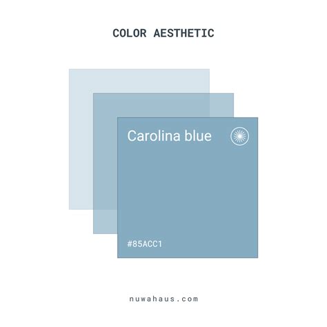 Color aesthetic | #85ACC1 Carolina blue in 2025 | Color, Color combos ...