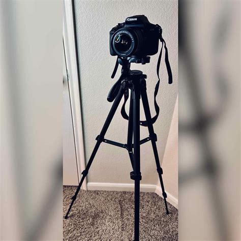 Alyssa Guzman (@alyssan920) • Instagram photos and videos