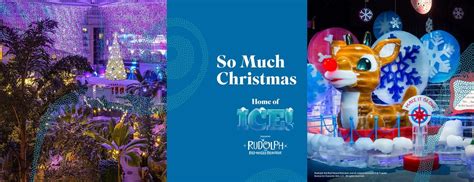 Christmas at Gaylord Palms celebration, 6000 West Osceola Parkway ...