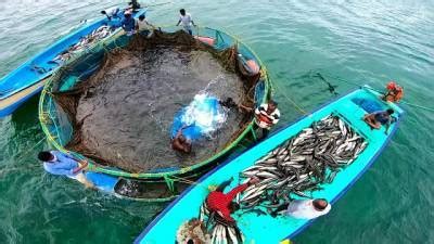 From detection of algal blooms to rescue operation, drone technology to ...