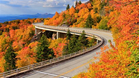 Blue Ridge Parkway: Beautiful views of 'America's Favorite Drive'