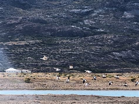 ESTANCIA CRISTINA (El Calafate, Patagonia) - B&B Reviews, Photos, Rate ...
