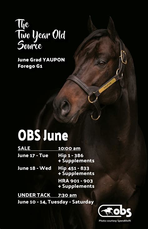 Sales Results – OBS Sales