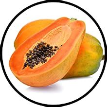 Khadi Organique Saffron & Papaya Anti Wrinkle Cream With Skin ...