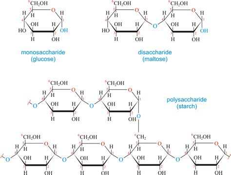 Carbohydrate @ Chemistry Dictionary & Glossary