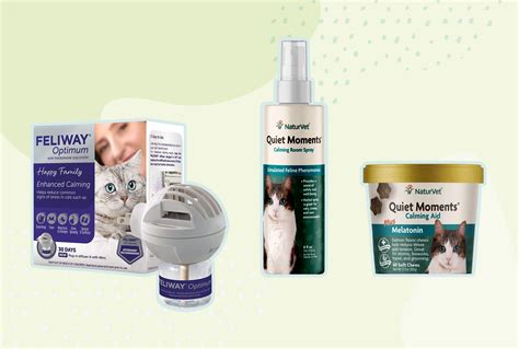 Can Dogs And Cats Get Aids