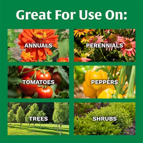 Scotts Flower and Vegetable 3-lb 10-10-10 Granules All-purpose Food ...