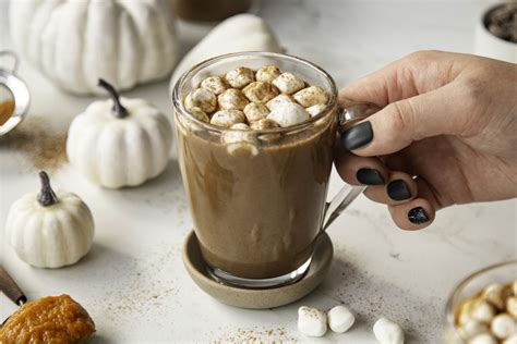 Protein Pumpkin Spice Hot Chocolate – Everyday Dishes
