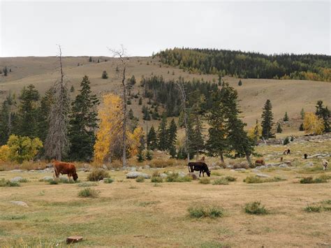 The 10 Oldest National Parks In The World