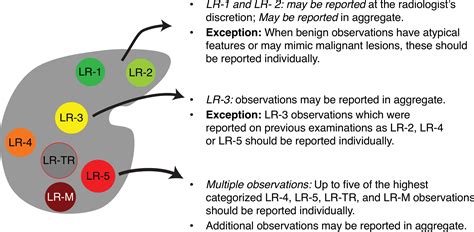 How to Use LI-RADS to Report Liver CT and MRI ObservationsRadioGraphics