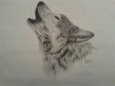 Pencil Drawing Of Wolf at GetDrawings | Free download