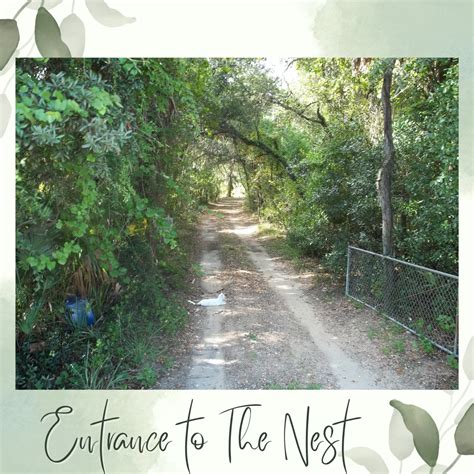 Heroes, Heroines, and History: Florida’s Featured Author ~ Julia Daniels Moseley