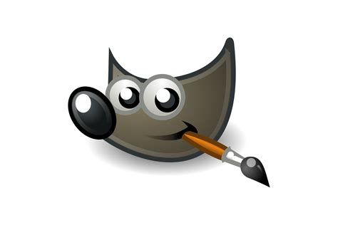 GIMP Tutorial Basic Photo Editing 的图像结果