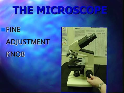 Microscope Example Slide 的图像结果