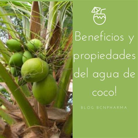 BCN Pharma, tu Farmacia Online: Los beneficios del agua de coco y dónde encontrar en su forma ...