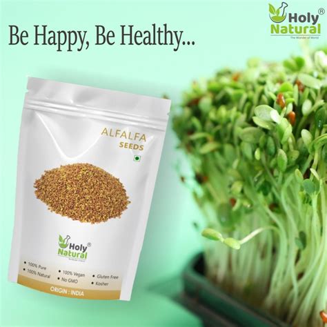 Alfalfa Seeds| Holy Natural