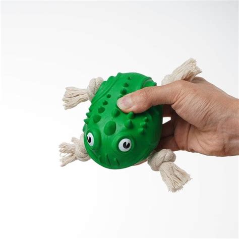 Buy Pawsindia The Mighty Toad Toy for Dogs online at Supertails.com