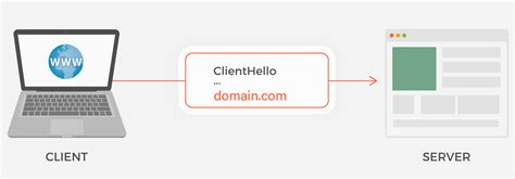 What Is SNI?