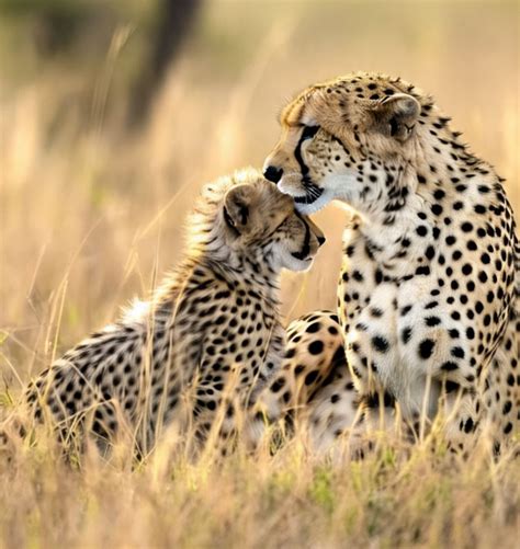 TERRANAUTS (@terranautspodcast) • Instagram photos and videos