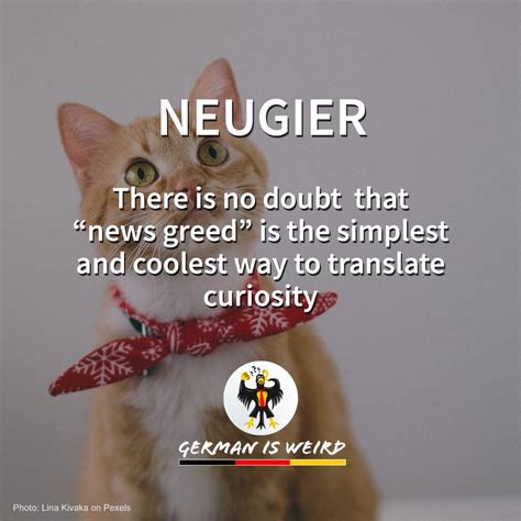 Neugier - German is Weird - Funny German words