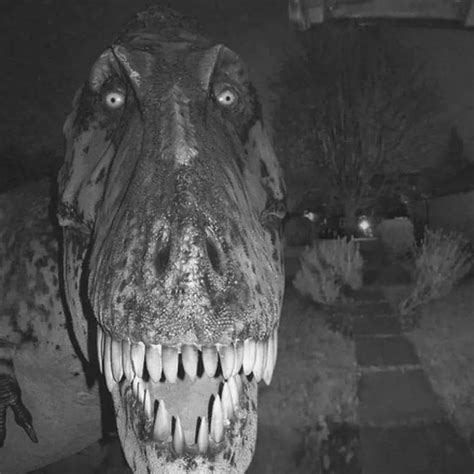 dado🎲 (@negrettolooo) • Instagram profile | Dinosaur meme, Dinosaur, Scary photos