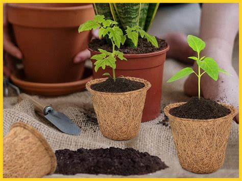 ecofynd 4 inches Coir Pots, Biodegradable Garden Nursery Coco Natural ...