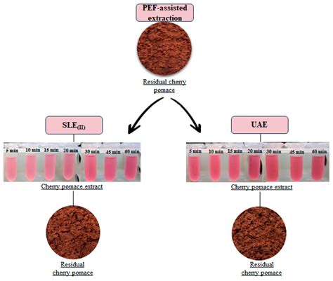 Sustainable Valorization of Industrial Cherry Pomace: A Novel Cascade ...