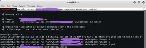 Maintaining Access with Web Backdoors [Weevely] - Yeah Hub