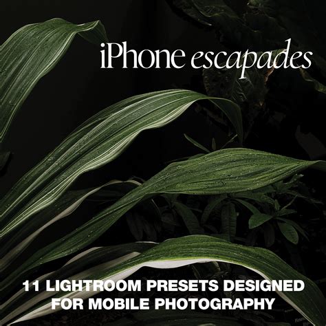 Top 36+ Preset Lightroom Iphone Set