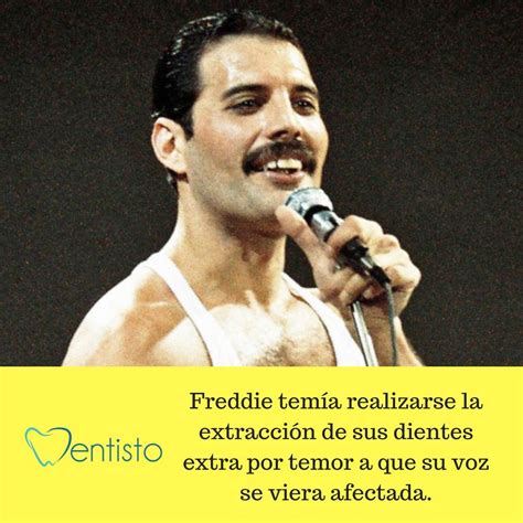 Freddie Mercury - A Unique Man Who Was Born To Entertain | uDiscover