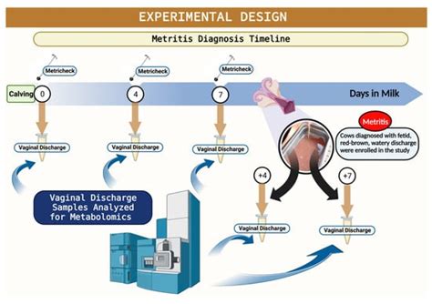 Changes in Uterine Metabolome Associated with Metritis Development and ...