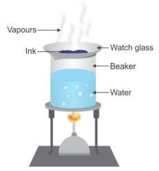 Separating Components of a Mixture, Physical and Chemical Changes and ...