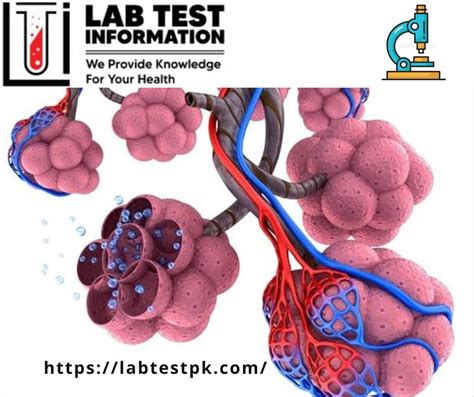 Normal Oxygen Level SpO2 的图像结果