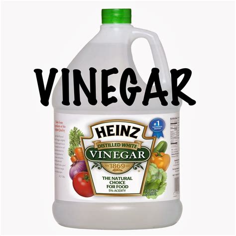 White Wine Vinegar Kill Ants at Jerry Cook blog