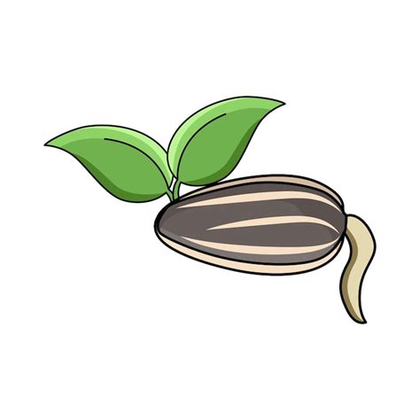 Seed drawing Images - Free Download on Freepik