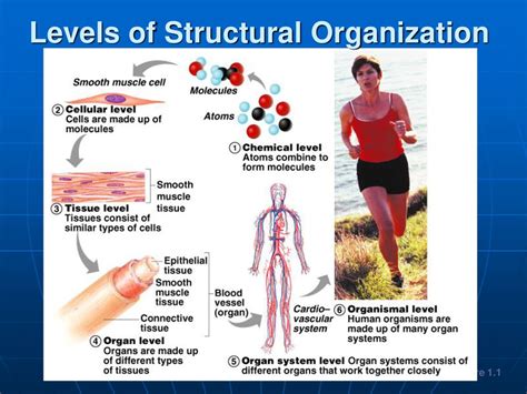 Example of System Structure 的图像结果
