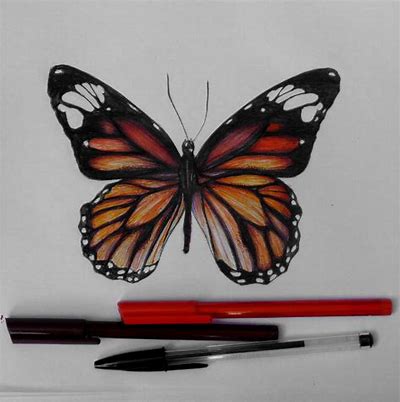 pencil art images for beginners