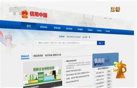 社会诚信建设体系快速发展 - 搜狐视频