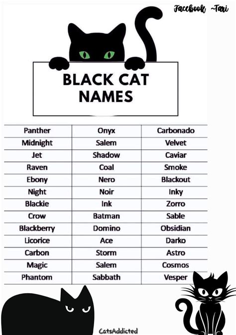 Cute Names For A Black Cat