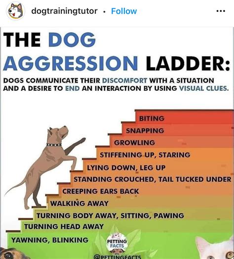 Image result for Signs of Aggression