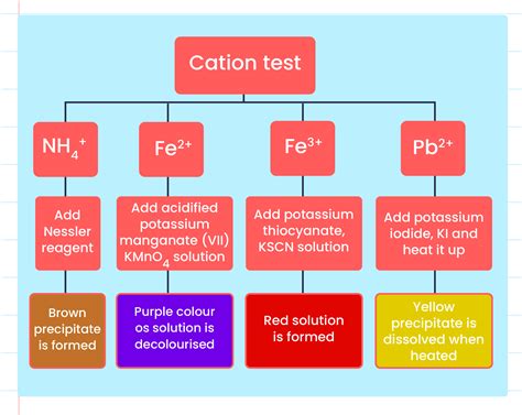 Confirmatory Test In at Lynne Griffin blog