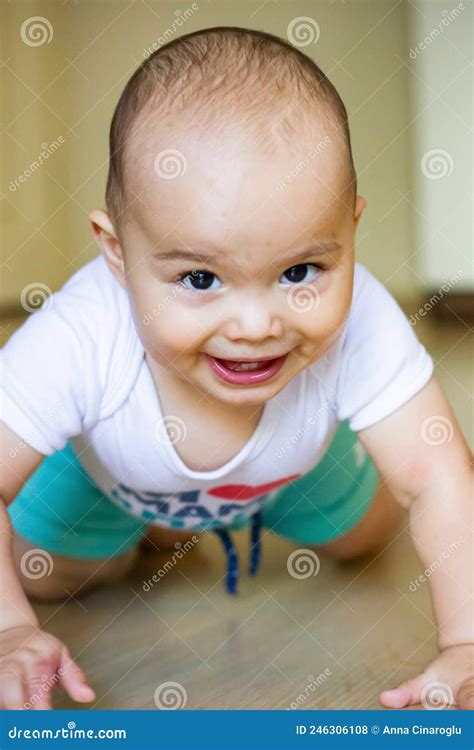 Sweet Chubby Baby Learns To Crawl on the Floor Stock Photo - Image of ...