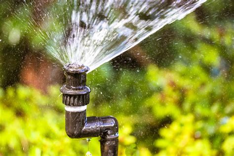 Signs You Need a Sprinkler System Repair - Maxum Irrigation & Plumbing ...