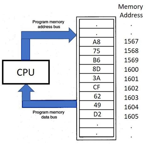 Memory Unit Block Diagram 的图像结果