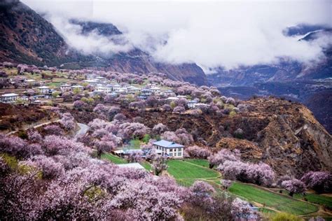 中国春天最美的6大景点，藏着撩人的春色，哪个在你的计划中呢？ - 知乎