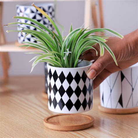 Black And White Planter Online - Premium Planter | Nestasia