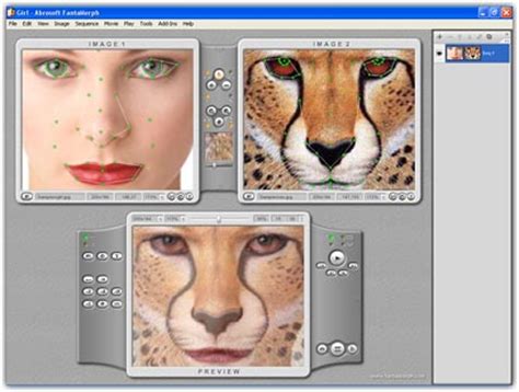 Image result for Morph Animation Tutorial
