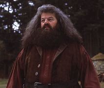 Hagrid 的图像结果