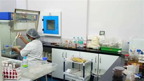 Image result for Microtechnix Scan Lab